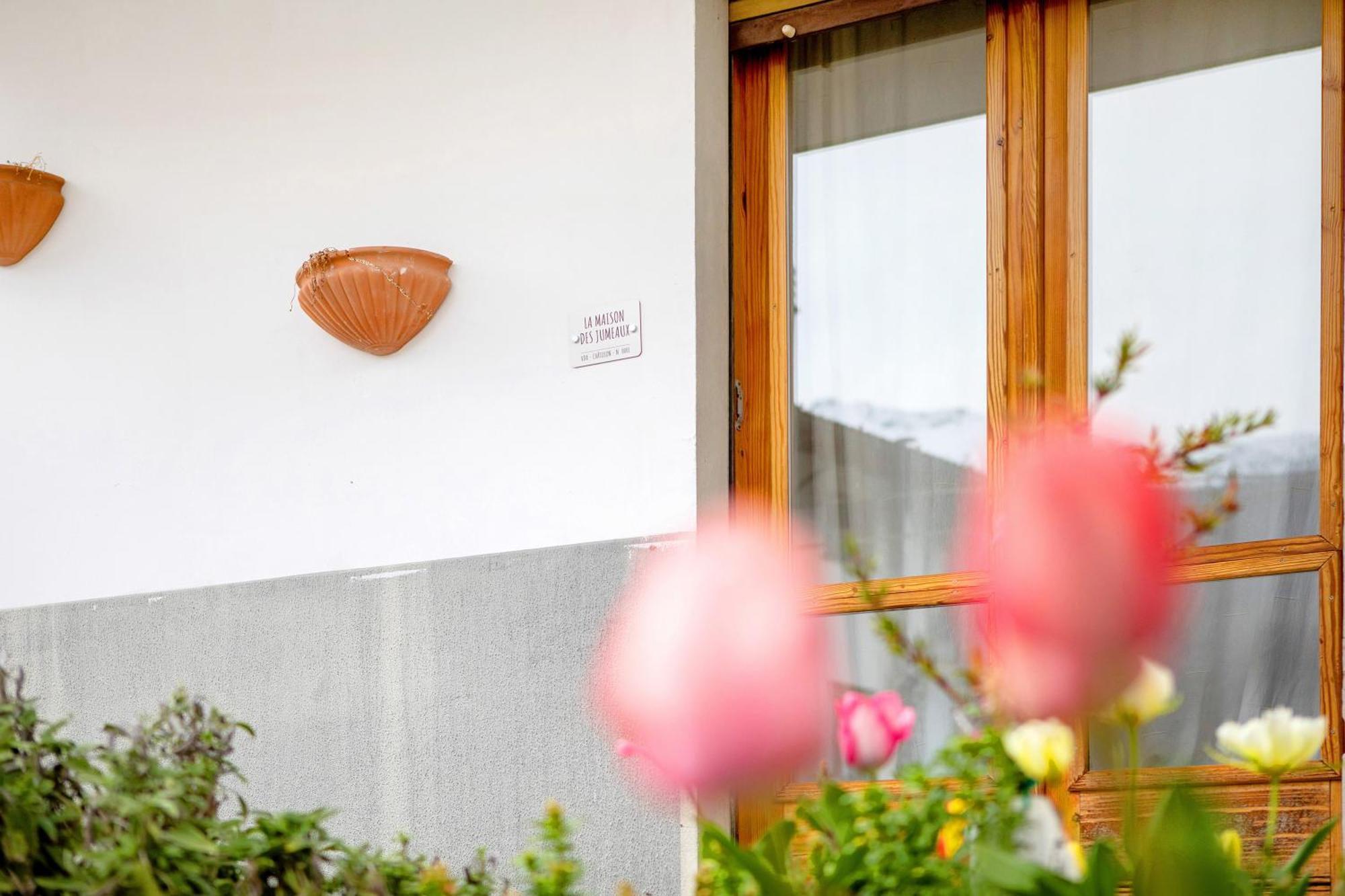 La Maison Des Jumeaux 夏特林 外观 照片